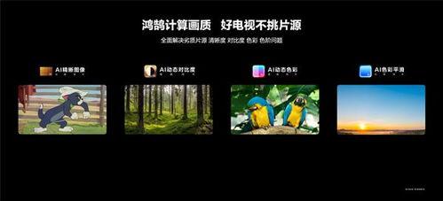 国产第一视频,引领视听新潮流的视听盛宴  第2张