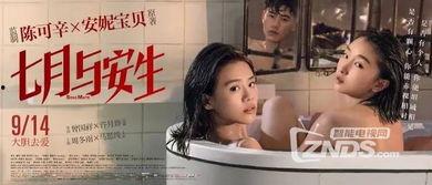 国产女同精品9,细腻情感与独特视角的青春共鸣 第3张 国产女同精品9,细腻情感与独特视角的青春共鸣 第3张