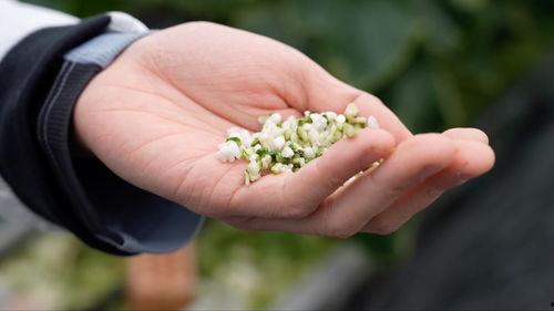 亚洲 国产 熟,国产熟品鉴之旅  第2张