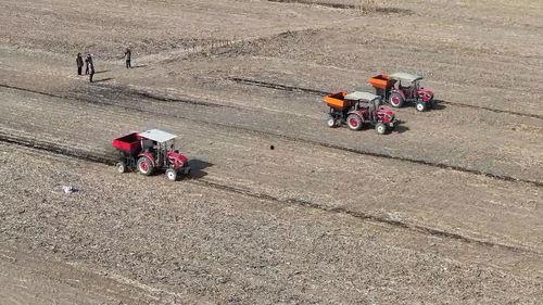 亚洲 国产 熟,国产熟品鉴之旅  第3张