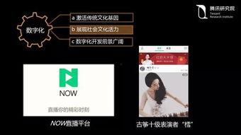 国产55页,揭秘我国科技发展的新篇章  第3张