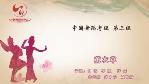 三级国产小视频  第2张