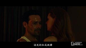 欧美国产在线字幕,本土化与全球化的完美融合  第1张