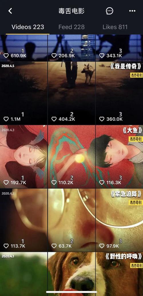 在线视频观看国产,在线视频观看背后的国产力量  第2张