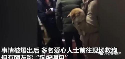 主人调教视频国产,从调教视频看国产崛起之路 第2张 主人调教视频国产,从调教视频看国产崛起之路 第2张