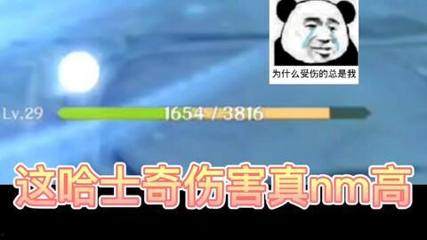 国产AAA免费视频 第1张 国产AAA免费视频 第1张