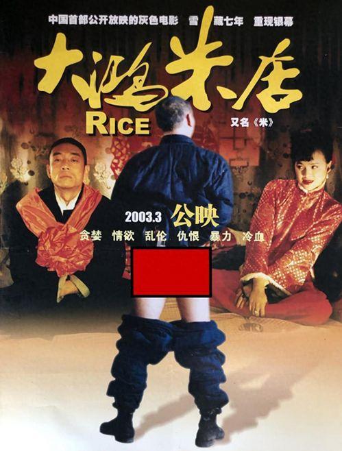 国产19禁,揭秘禁忌之下的激情与挑战  第3张